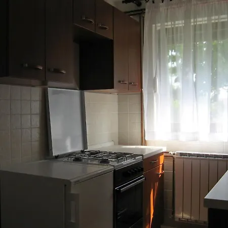 Apartment With A Parking Space Delnice, Gorski Kotar - 15589