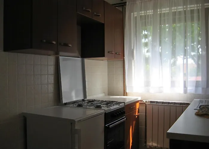 Appartement With A Parking Space Delnice, Gorski Kotar - 15589